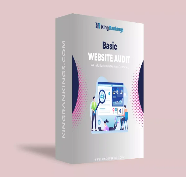 basic website audit